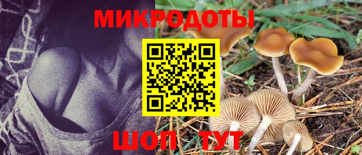 Галлюциногенные грибы Psilocybe  Галлюциногенные грибы прущие грибы  Вход с VPN  Красноярск 